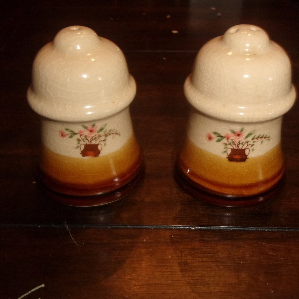 Salt pepper shakers set tan brown fade flowers